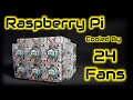 I Made An Only Fans Case For My Raspberry Pi - How Does It Perform?