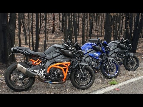 MT10 in the WILD | David Attenborough Edition