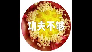 202001 功夫不够51428