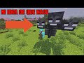 ME ENFRENTE AL WITHER POR PRIMERA VEZ!!