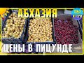 АБХАЗИЯ | ЦЕНЫ В ПИЦУНДЕ - ИЮНЬ 2021 года | Субтропический курорт