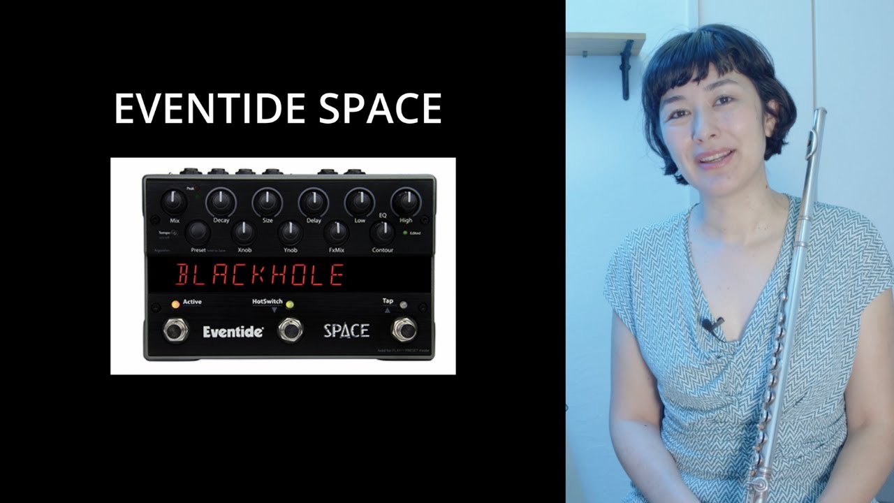 Eventide Blackhole Pedal リバーブ エフェクター - エフェクター