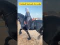 ركوب سعد على خيل الفرزيان ماشاء الله