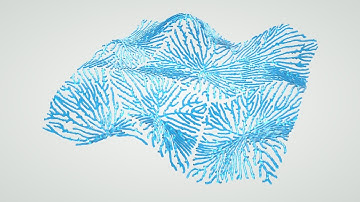 [Houdini Tutorial] 0005 Mold Network (Slow ver.)