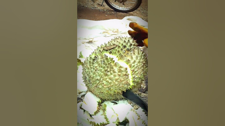 Cutting & Discarding Bad Durian ❌🌰 Quality Check! #Shorts #Durian #FruitCheck