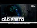 SIGNIFICADO DOS SONHOS • Significado de sonhar com cachorro preto, cão escuro ou negro e cão bravo