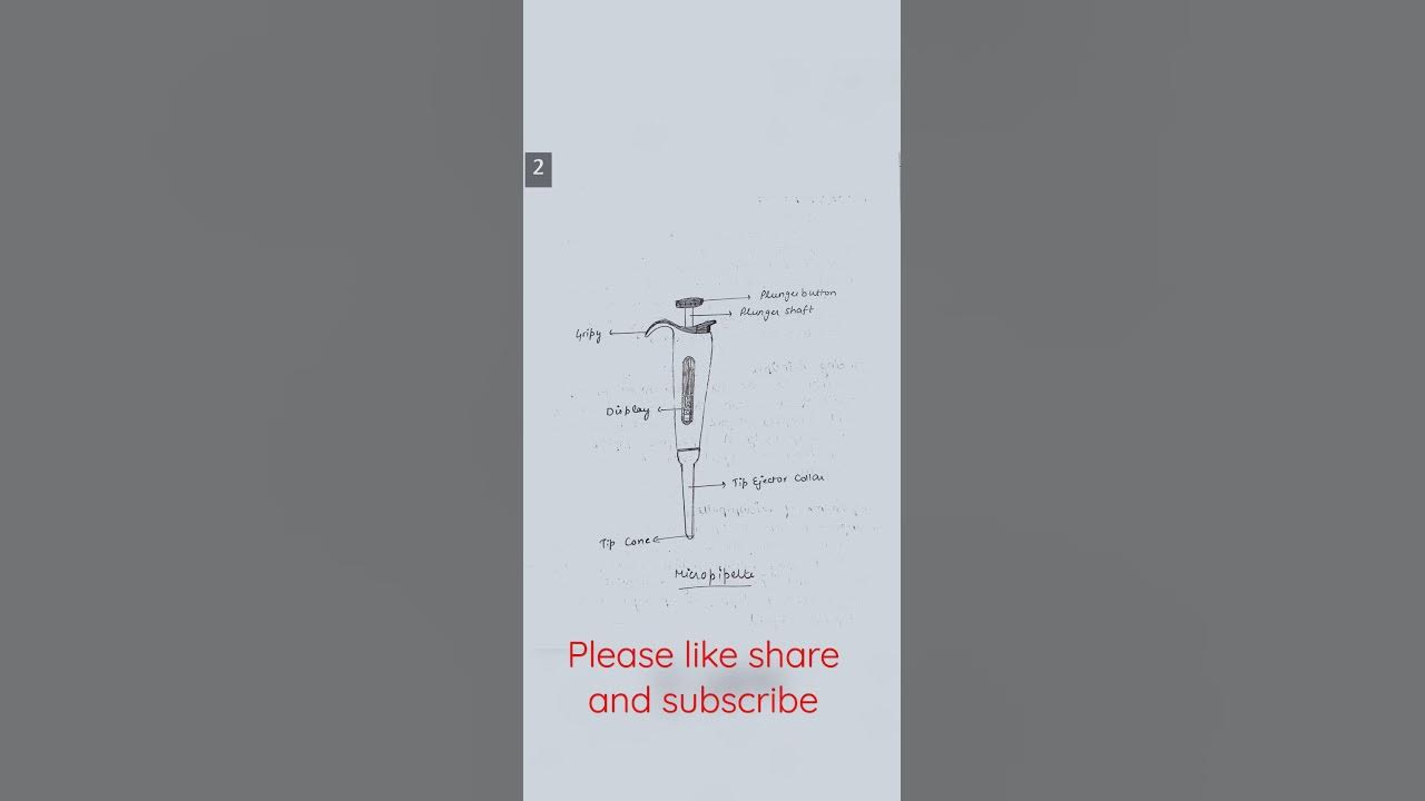Micropipette Working principle, Mechanism, Components and uses YouTube