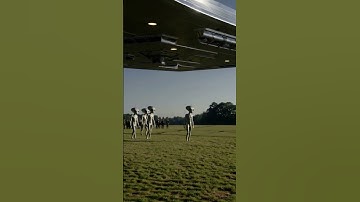 Thumbnail of The Arrival The Encounter The Landing #alien #aliens  #creepyencounters #horror #alien encounter