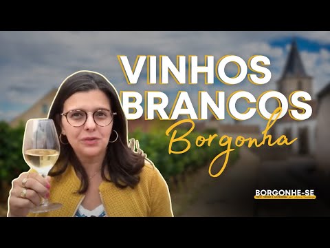 Vídeo: Os Melhores Vinhos Brancos Da Borgonha