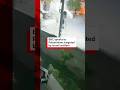 New video by BBC News on YouTube