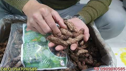 CHUỐI HỘT RỪNG TÂY NGUYÊN. LOẠI CHUỐI NGÂM NGON NHẤT TRONG CÁC LOẠI CHUỐI