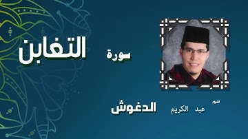 القران الكريم بصوت الشيخ عبد الكريم الدغوش | سورة التغابن