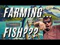 Why You Should Never Eat Farm-Raised Fish