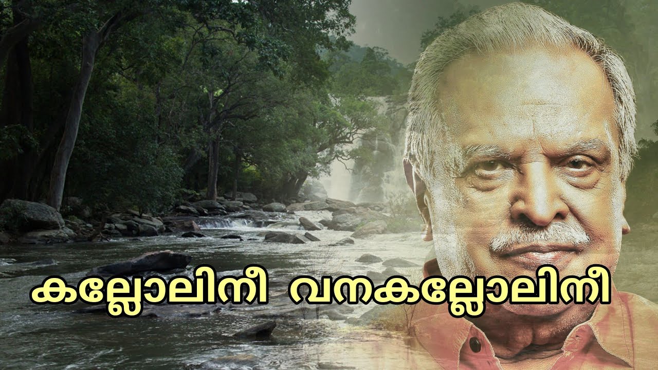 Kallolinee Vana Kallolinee | കല്ലോലിനീ വനകല്ലോലിനീ | P Jayachandran