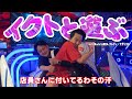 同期のイチゴのイクトとロケ