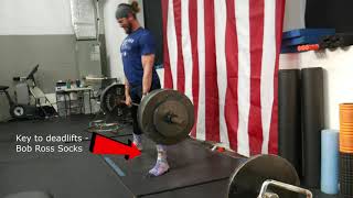 Some Command Training and Leg Day