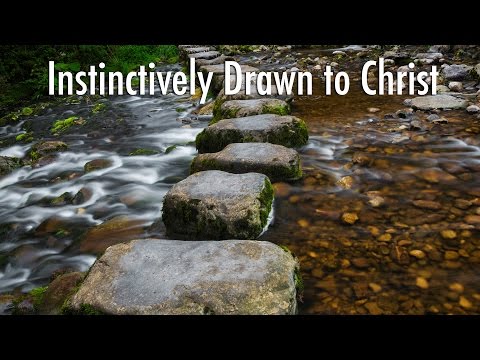 Stepping Stones to Faith: Instinctively Drawn to Christ