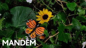 Mother Nature | A stop-motion piece about the environment