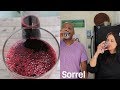 Belizean Sorrel Tea | Jamaica or Hibiscus