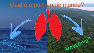 Floresta Amazônica ou os Oceanos. Qual é o Pulmão do Mundo?