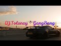 Dj Tolunay - GangBang