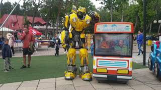 Bumblebee funny movie