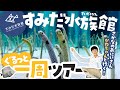 すみだ水族館行く前に見て!100倍楽しめる解説ツアー!〜東京観光・スカイツリー・アクアリウム〜