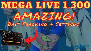 Mega Live 1.300 AMAZING Bait Tracking FOOTAGE and Settings! MUST WATCH!