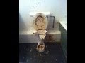 How To Unblock A Toilet