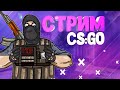 🔥【 СS:GO 】ЗАХОДИ НЕ ПОЖАЛЕЕШЬ | ПОЗИТИВНЫЙ СТРИМ 🔥