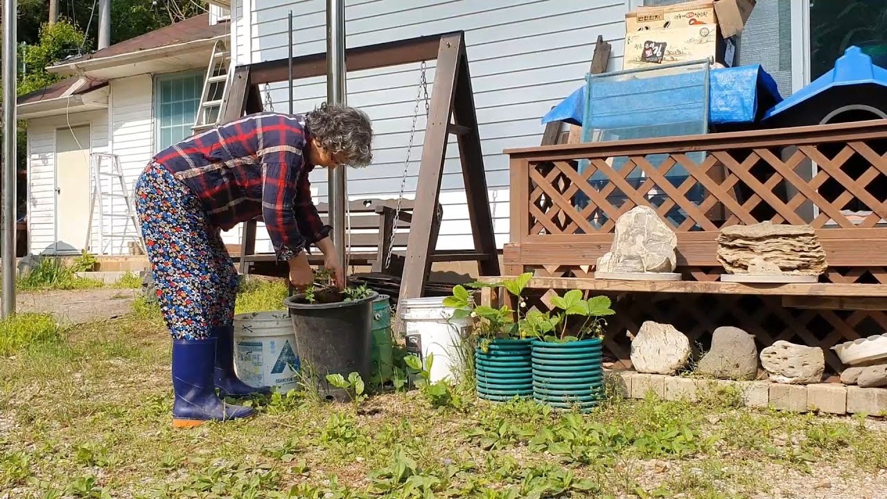 Маленький день в корейском загородном доме (корейская сельская жизнь)