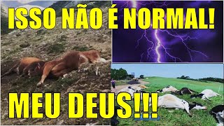 OS SINAIS CONTINUAM / PRECISAMOS DE BUSCAR REFÚGIO A SOMBRA DO ALTÍSSIMO!!!