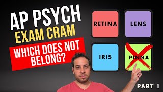 AP Psychology Exam Cram Review: Which Does Not Belong? (Part 1) by Psych Explained 9,551 views 2 years ago 25 minutes