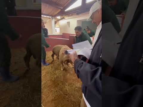 ها كيفاش كيدوز الإنتقاء بحضور خبير أجنبي