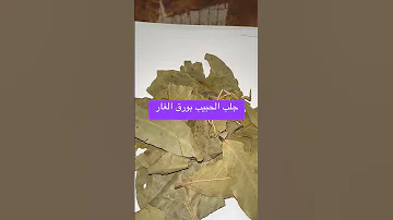 جلب الحبيب وتهييج الحبيب اخضاع الحبيب 