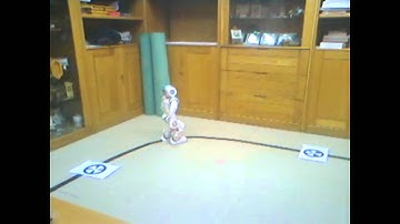 Nao Line Following