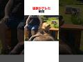 危険な猛獣もデレてくれる