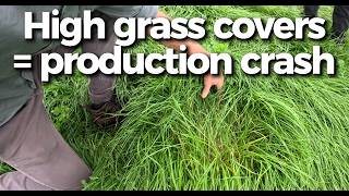 Details High Grass Covers = Production Crash Update