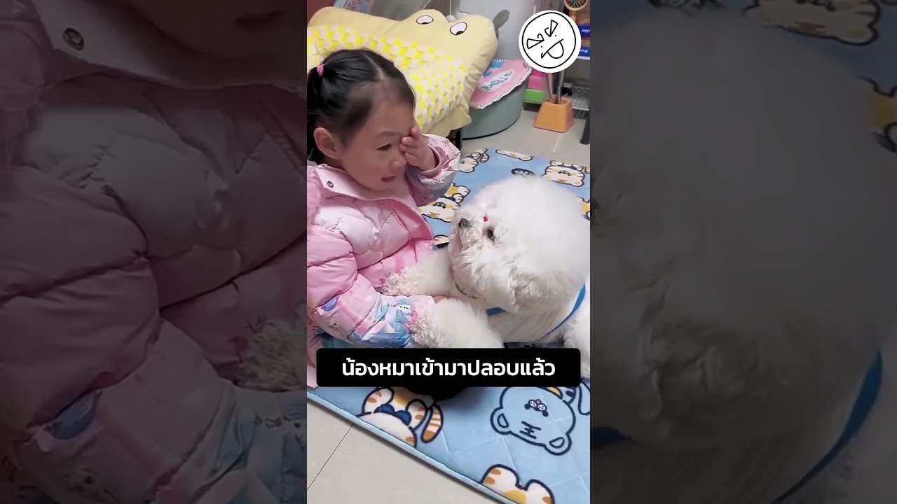 น้องหมาเข้ามาปลอบแล้ว