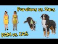 Why Paralives character creator will be better than The Sims | Genetics Diseases | Colour Wheel