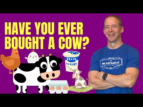 Have You Ever Bought a Cow?