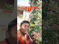 omg 😯😯Kitna Sundar ped hai 💐💐💐 #youtubeshorts #shorts #shortsfeed #viralmusic #ytshorts #yt