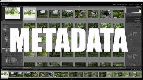 04. Lightroom Classic: Adding and Editing Metadata