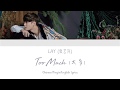 Lay   too much  chinesepinyinenglish lyrics