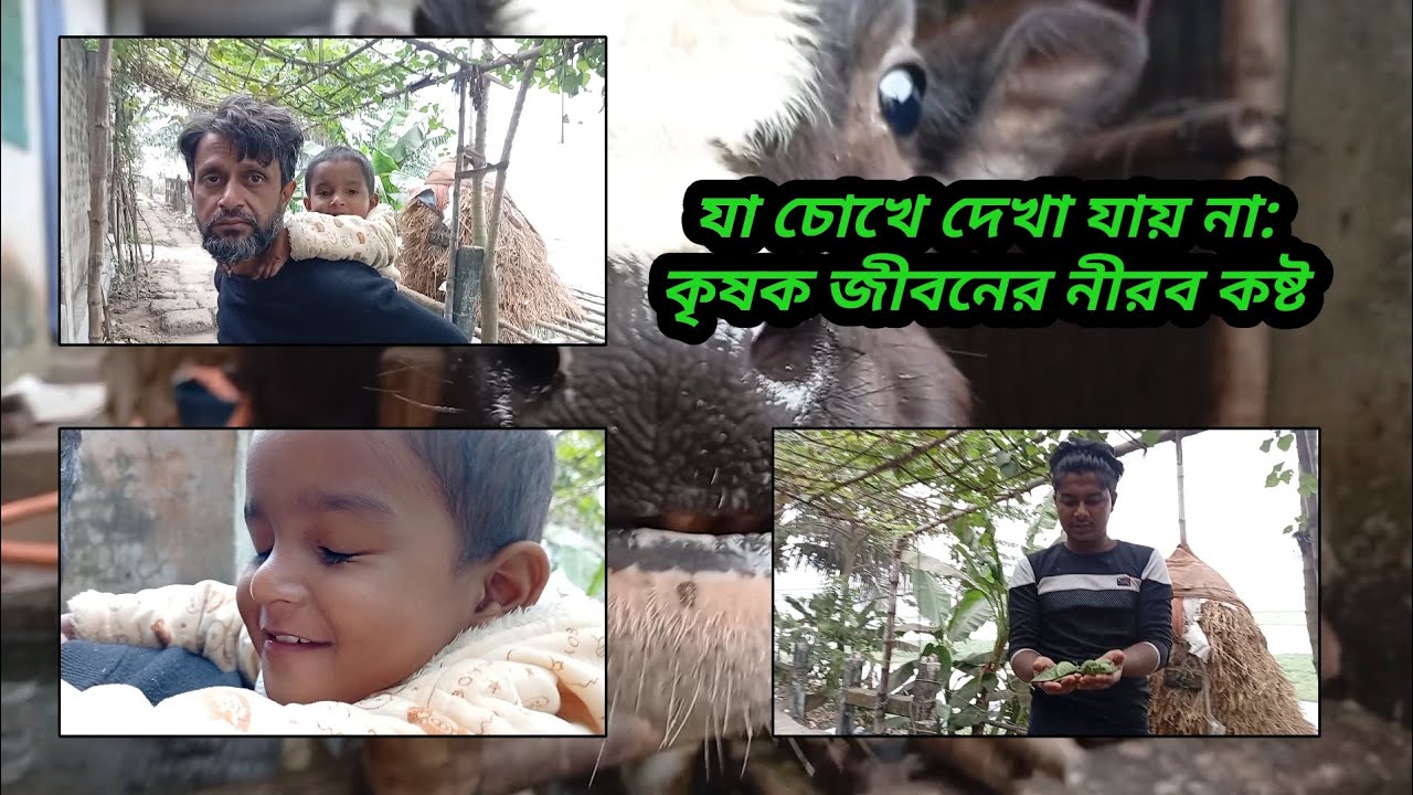 যা চোখে দেখা যায় না: কৃষক জীবনের নীরব কষ্ট
