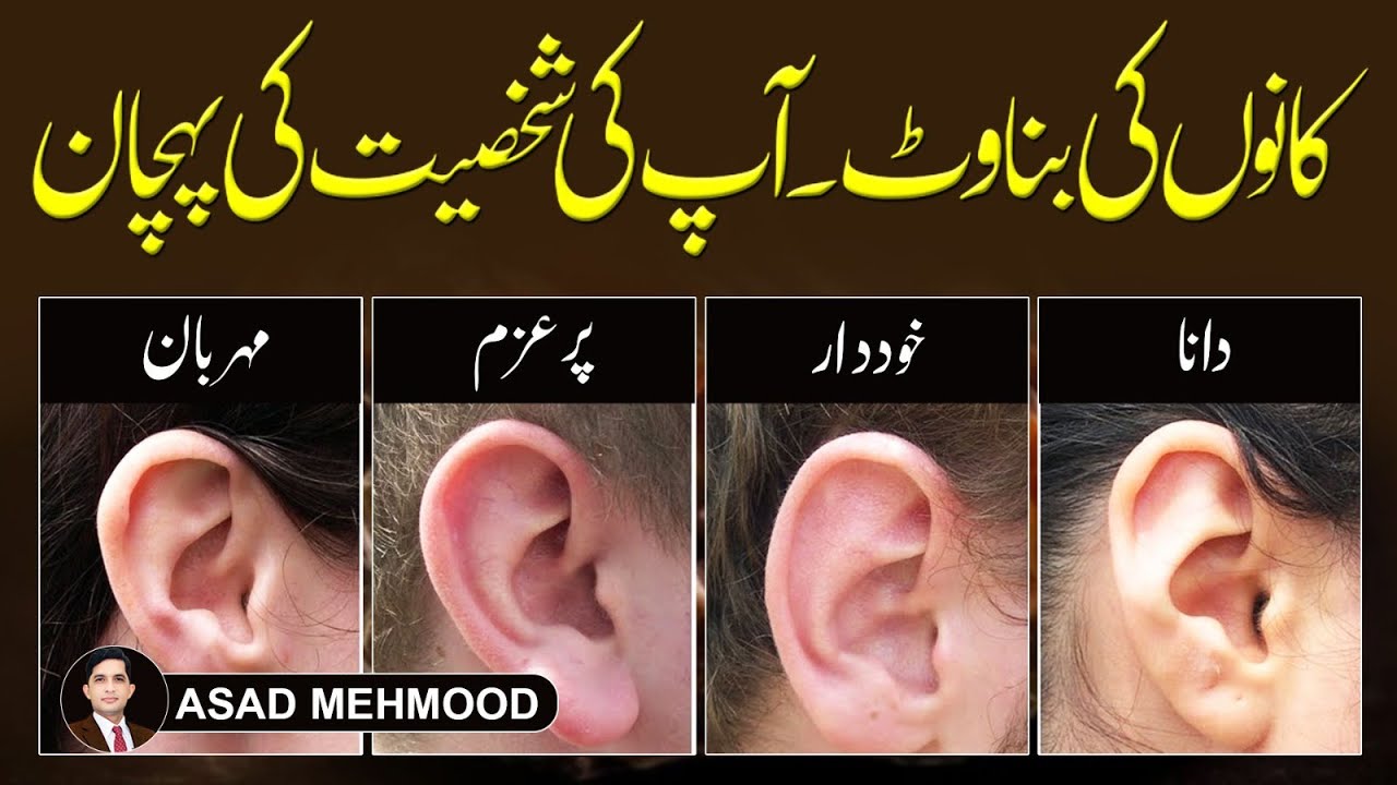Ear Allah The Secret Meaning Behind Your Ear Structure | Islamic Learning Hub ...