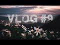 Narcise na Golici - 😍 Vlog #9