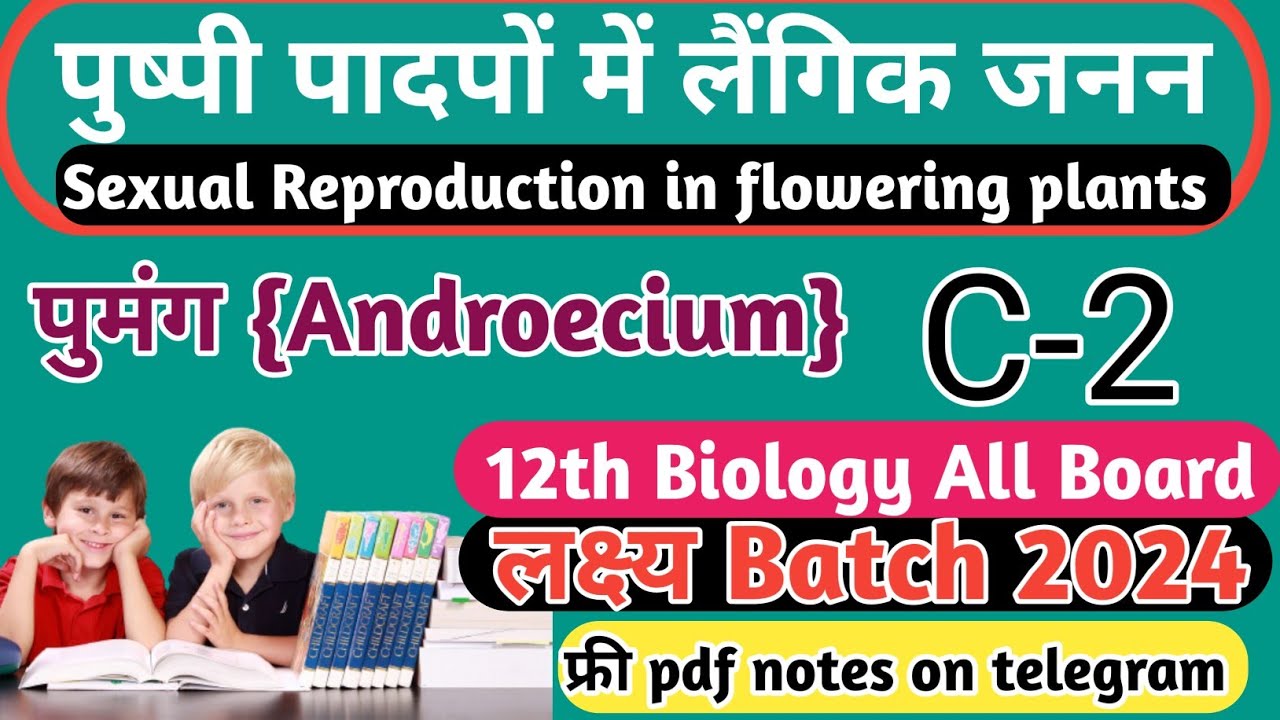 male-reproductive-organs-of-a-plant-androecium-kya-hai-12th-biology