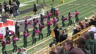 WSU Football Homecoming Game Day - Wayne State vs. Northern Michigan (Oct 20, 2012)