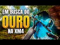 Black ops 6 RTG XM4 - Em busca de Ouro #1
